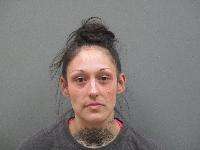 <b>Toni Shaliegh Hopkins - Possession of Controlled Substance, Neglect Child-Includes Non Support of Child</b>