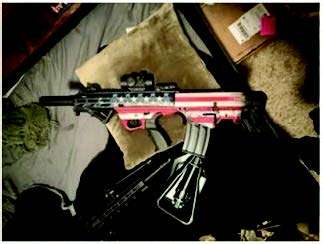 A photo of Proper’s gun, from the complaint filed in the Central District of California.