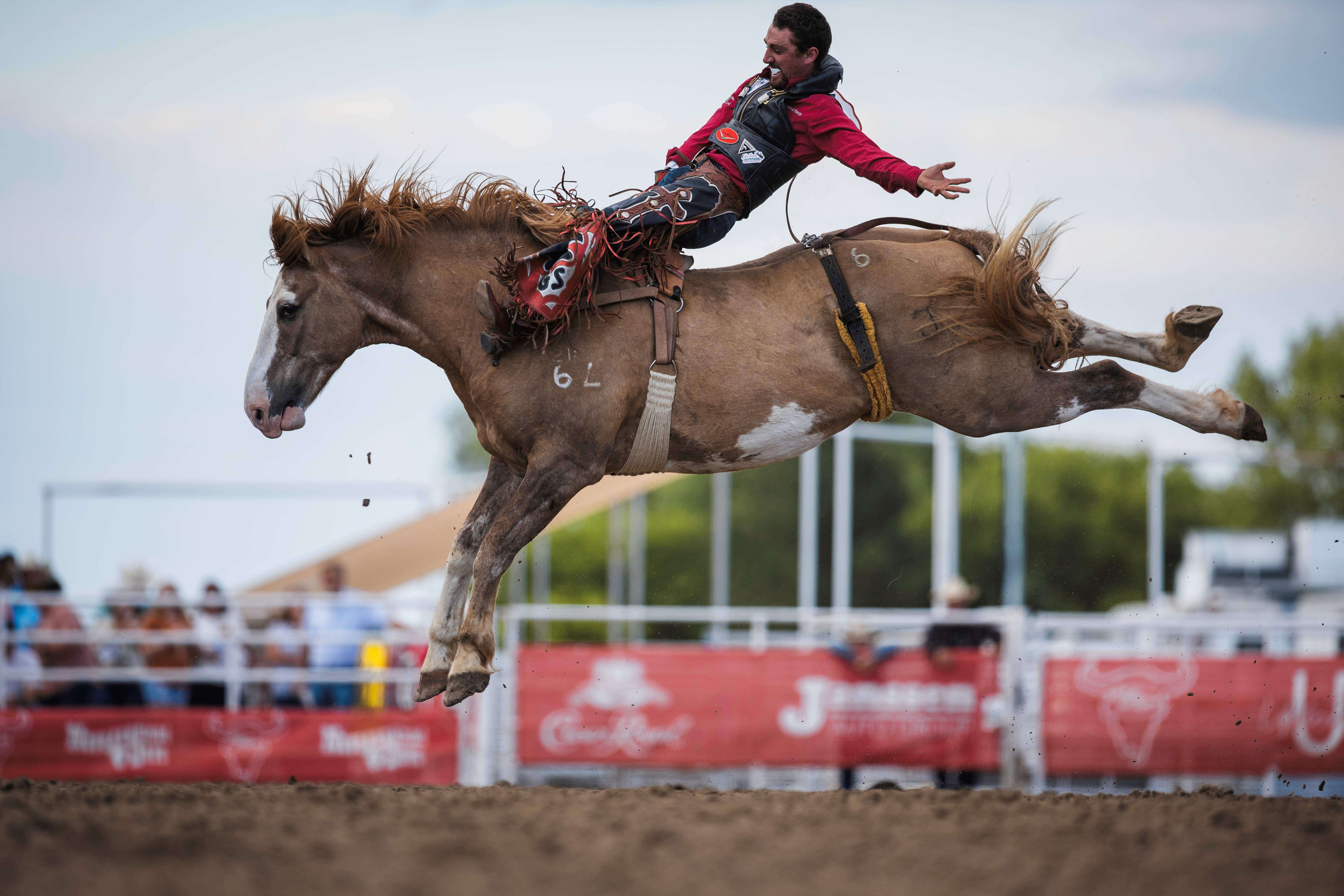 Garrett Shadbolt is a three-time Buffalo Bill Rodeo bareback riding champion. He won this year’s rodeo with an 87.5 point ride, and won the rodeo in 2021-2022. Photo by Clay Guardipee, Rodeo Ready.