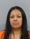 <b>Maria B Chavez - Domestic Violence Assault-3rd Cause Bodily Injury</b>