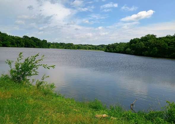 The Missouri Department of Conservation will be lowering Kendzora Lake (shown) on the Kendzora Conservation Area in Platte and Buchanan counties for replacement of water-control equipment. The project is scheduled to begin late June with completion expected in spring of 2027./ Photo courtesy of the Missouri Department of Conservation
