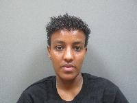 <b>Felis Abdullahi Salah - Driving Under Suspension, No Valid Registration, Criminal Impersonation</b>