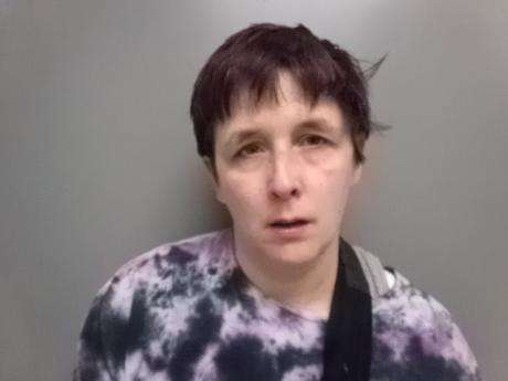 <b>Amber McCart - Dawson County Sheriff's Office Warrant-Failure to Appear-Theft$0-$500</b>