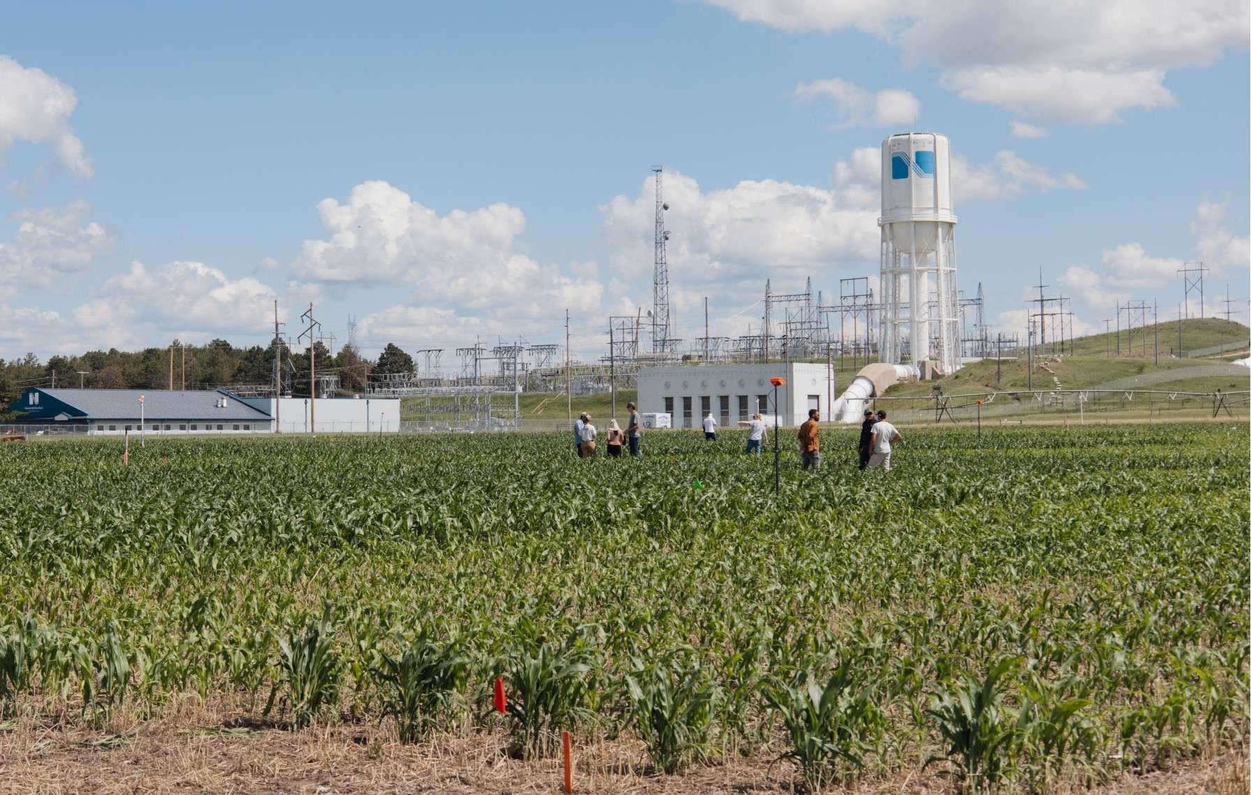 Field day participants view TAPS plots in a field at the West Central Research, Extension and Education Center. (UNL)