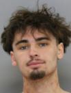 <b>Nathaniel Michael Waugh - Warrant Arrest, Burglary</b>