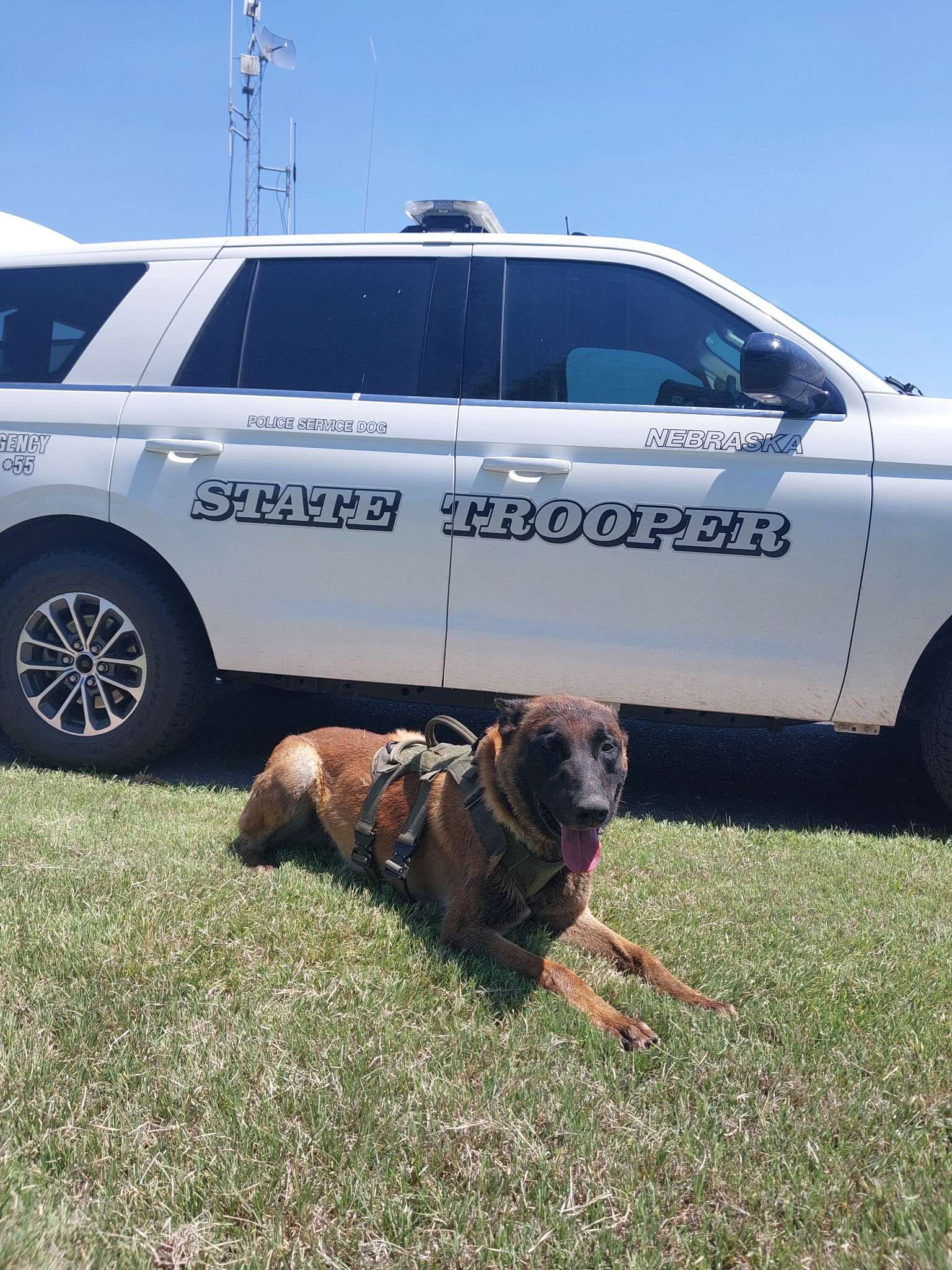 Nebraska State Patrol new K-9 Phoenix. (NSP)