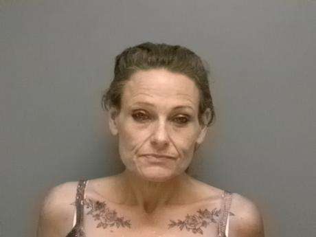 <b> Shasta Marie Chavez - Shoplifting $0-$500</b>