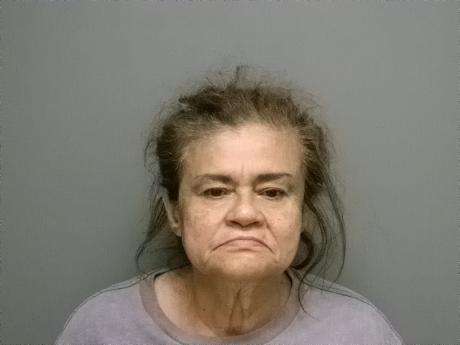 <b>Dania M Gutierrez - FTA - Animals Running at Large, FTA or Comply with Citation</b>