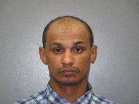 <b>Terrell Demont Hayes - Possession of Controlled Substance-Fentanyl</b>