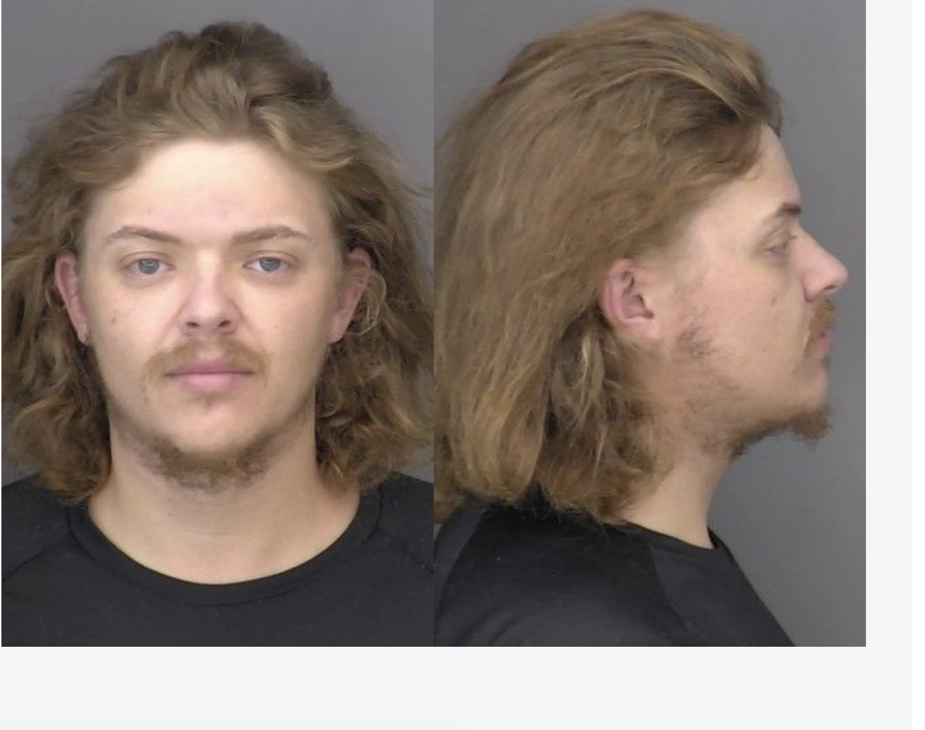 Werner, Austin Ryder