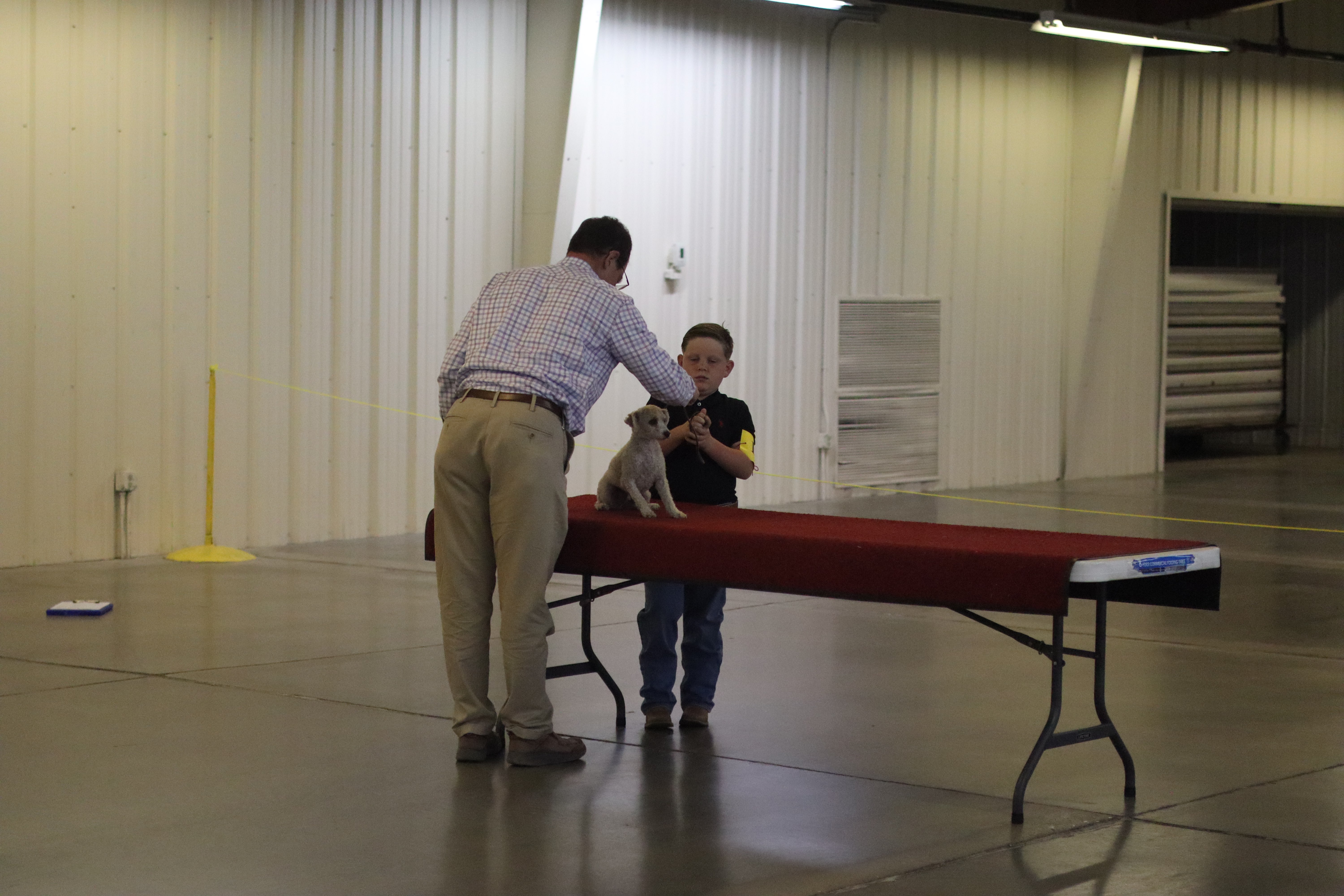 Reddin and his dog Bingo being judged on a table inside the Unrein family building by Judge Will Clark. Photo by Alin Hett/Hays Post.&nbsp;