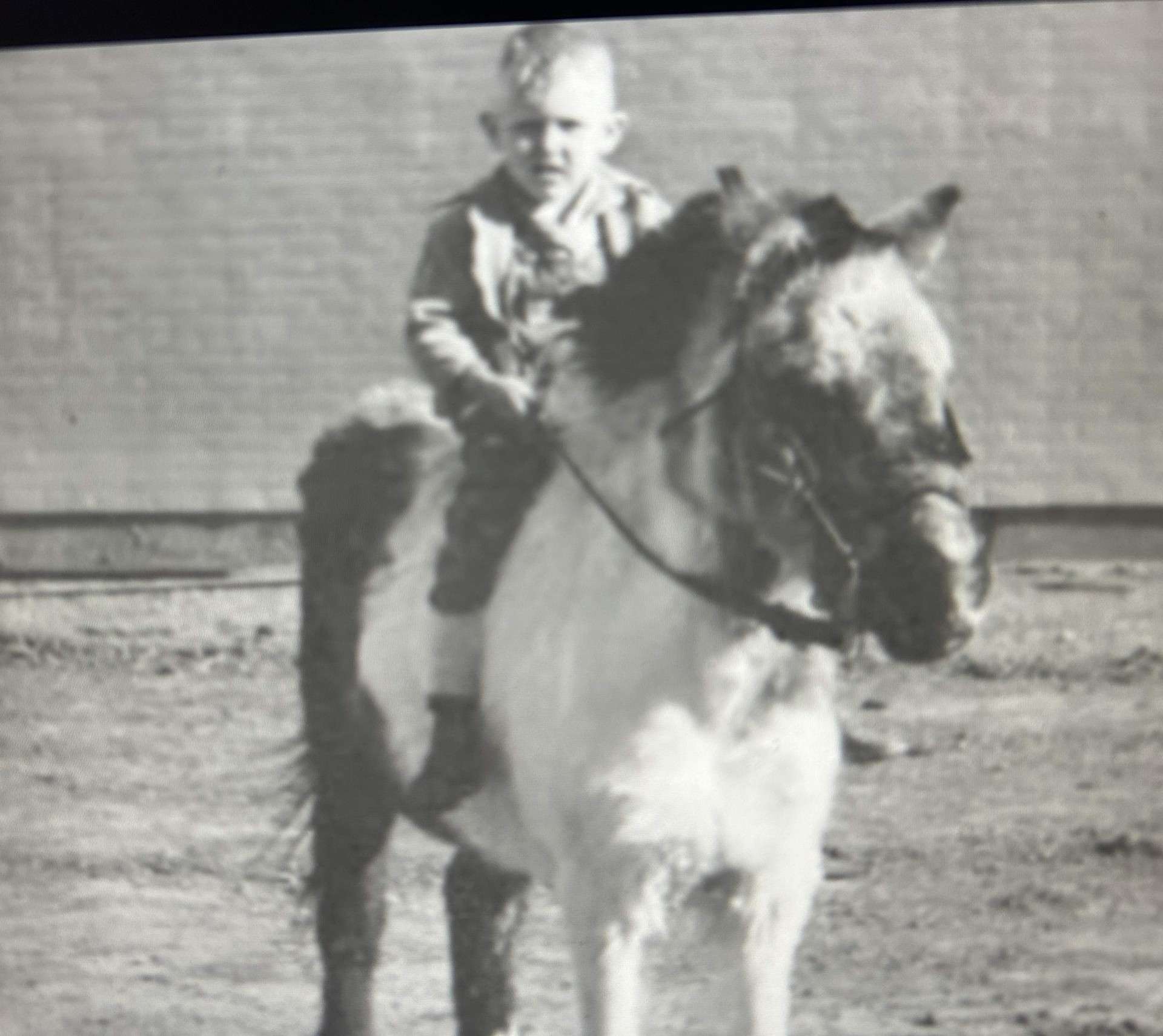 Lauer’s love of horses began as a child, and he’s been a cowboy since that time.