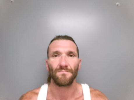 <b>Lucas James Vollmer - Dawson County Warrant-Failure to Appear-Driving Under Suspension</b>