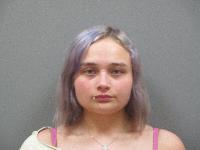 <b>Sabrina June Howell - DUI-Liquor-.15+</b>