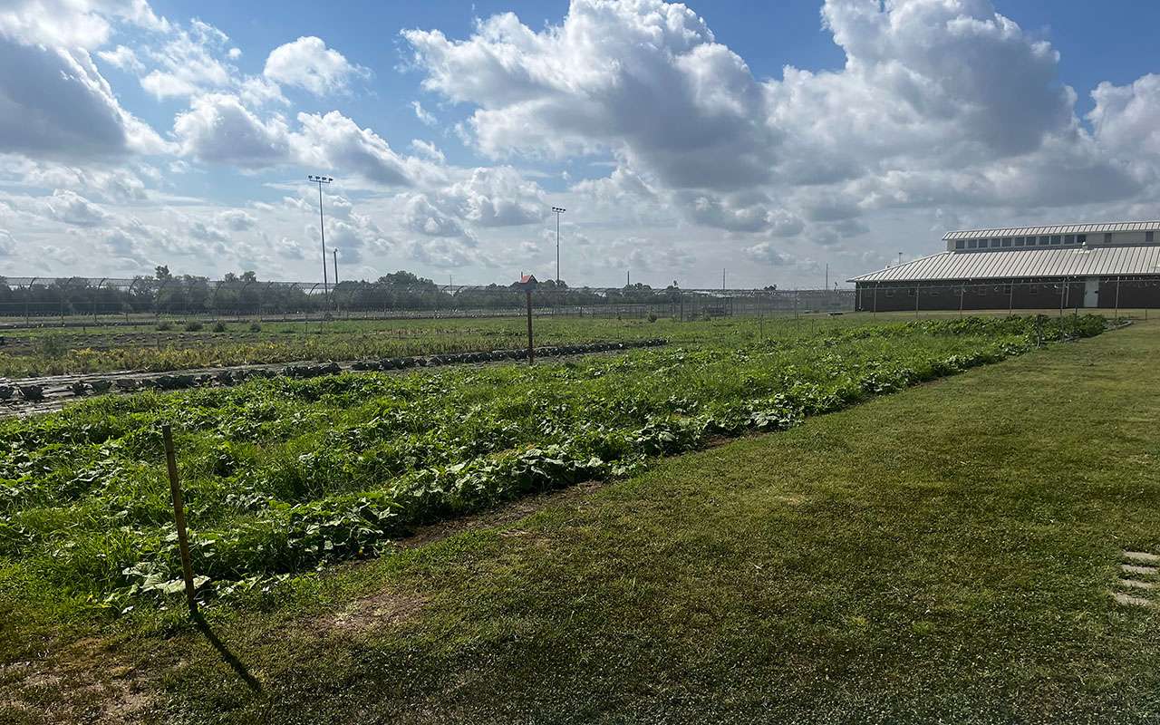 The Garden for Good program at Hutchinson Correctional Facility produced 38,000 pounds of produce to be used in the prison and distributed to agencies in Reno County.