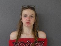 <b>Breann R Falk - Dangerous Drugs, Narcotic Equipment-Possession</b>