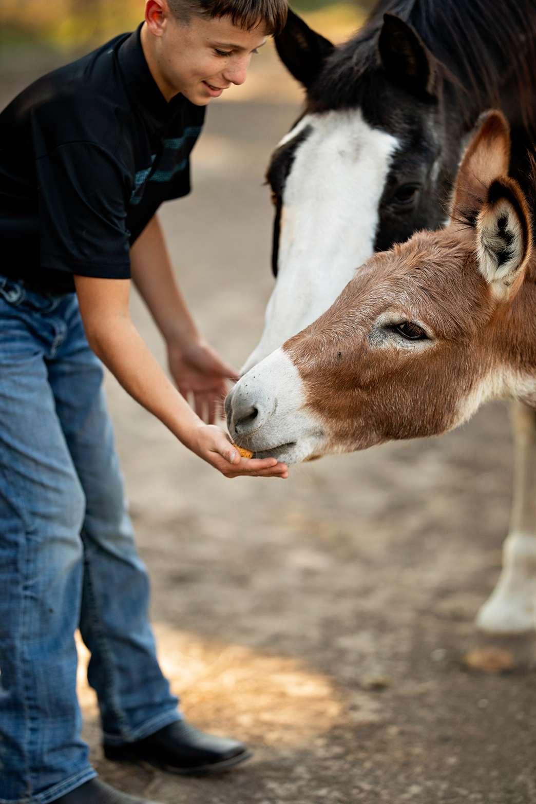 Deanna Rupp, therapist, uses horses and miniature donkeys to help clients regulate their breathing and nervous systems, fostering calmness and self-awareness. Courtesy photo