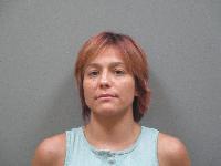 <b>McKayla Michelle Burnette - Driving Under Suspension, Probation Violation, Failure to Appear</b>