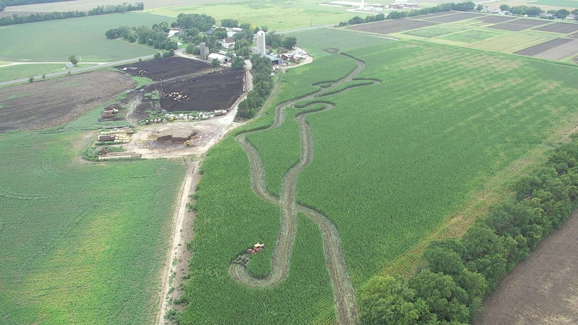 Photo shows extensive damage to corn and soybean fields near E. Water Well Road - Courtesy of Saline County Sheriff's Office.