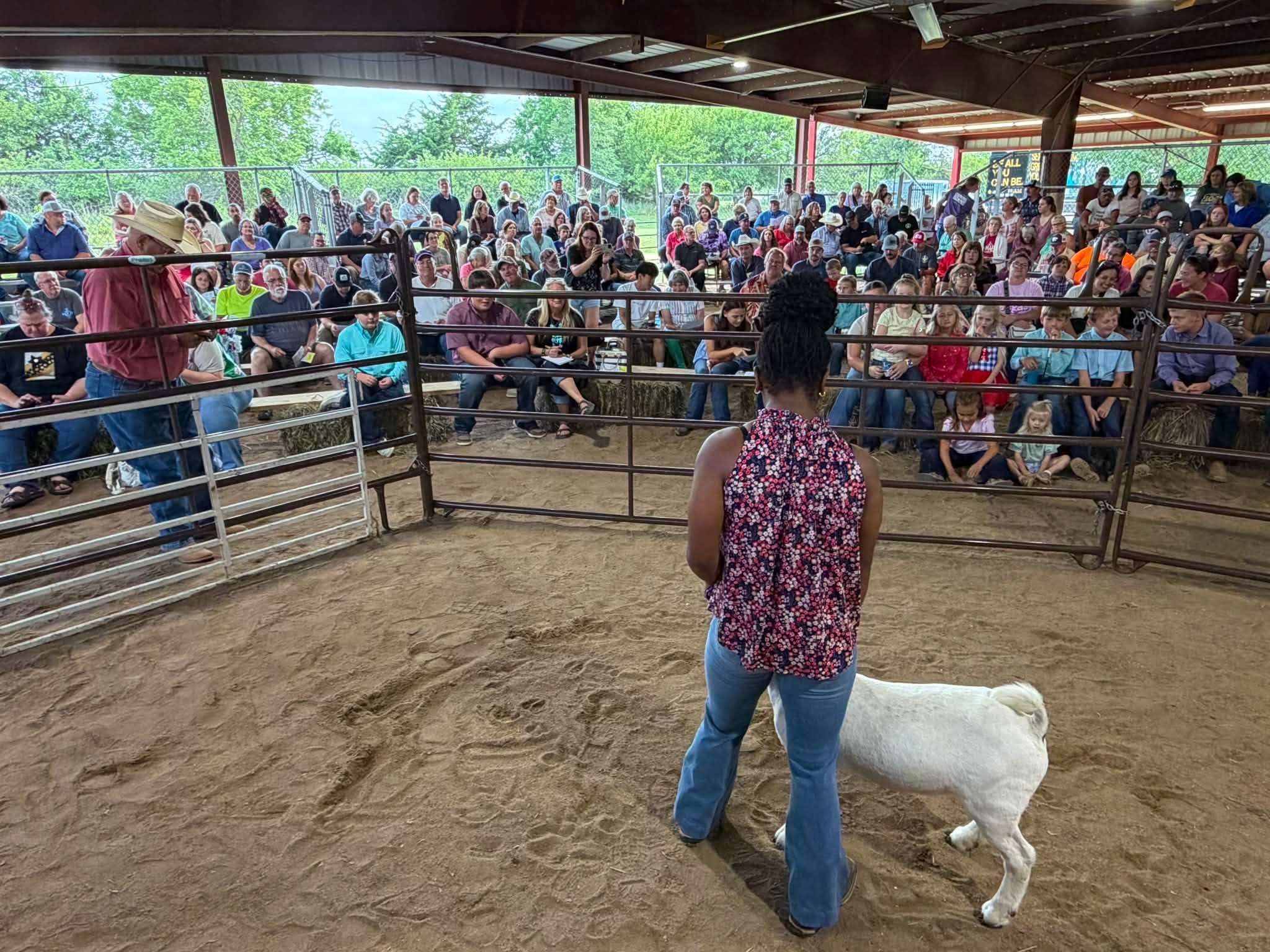 Geary County Free Fair - Auction - Photo - Geary County Free Fair Facebook