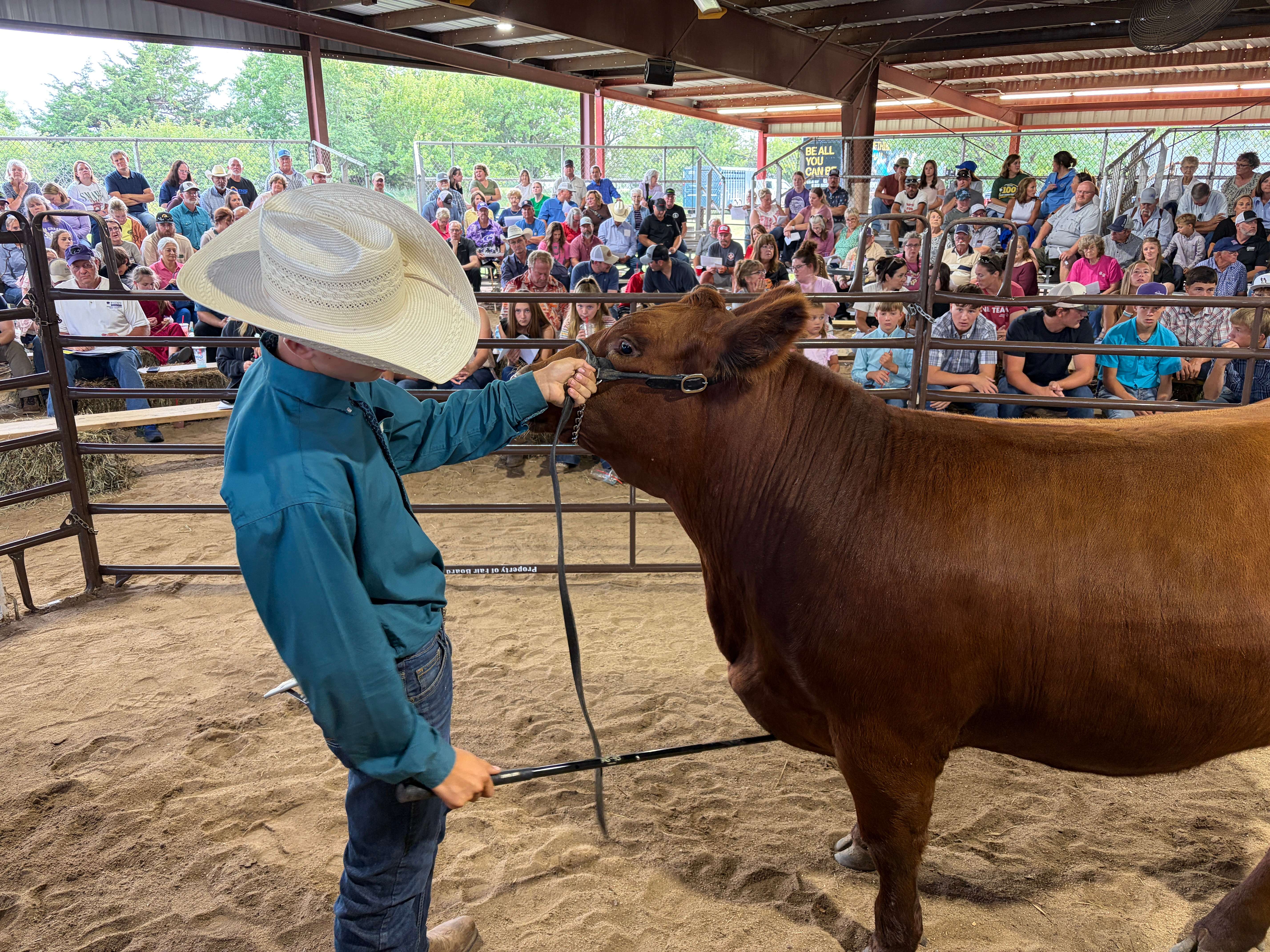 Geary County Free Fair - Auction