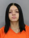 <b>Olivia K Koubek - Warrant Arrest-Failure to Appear</b>