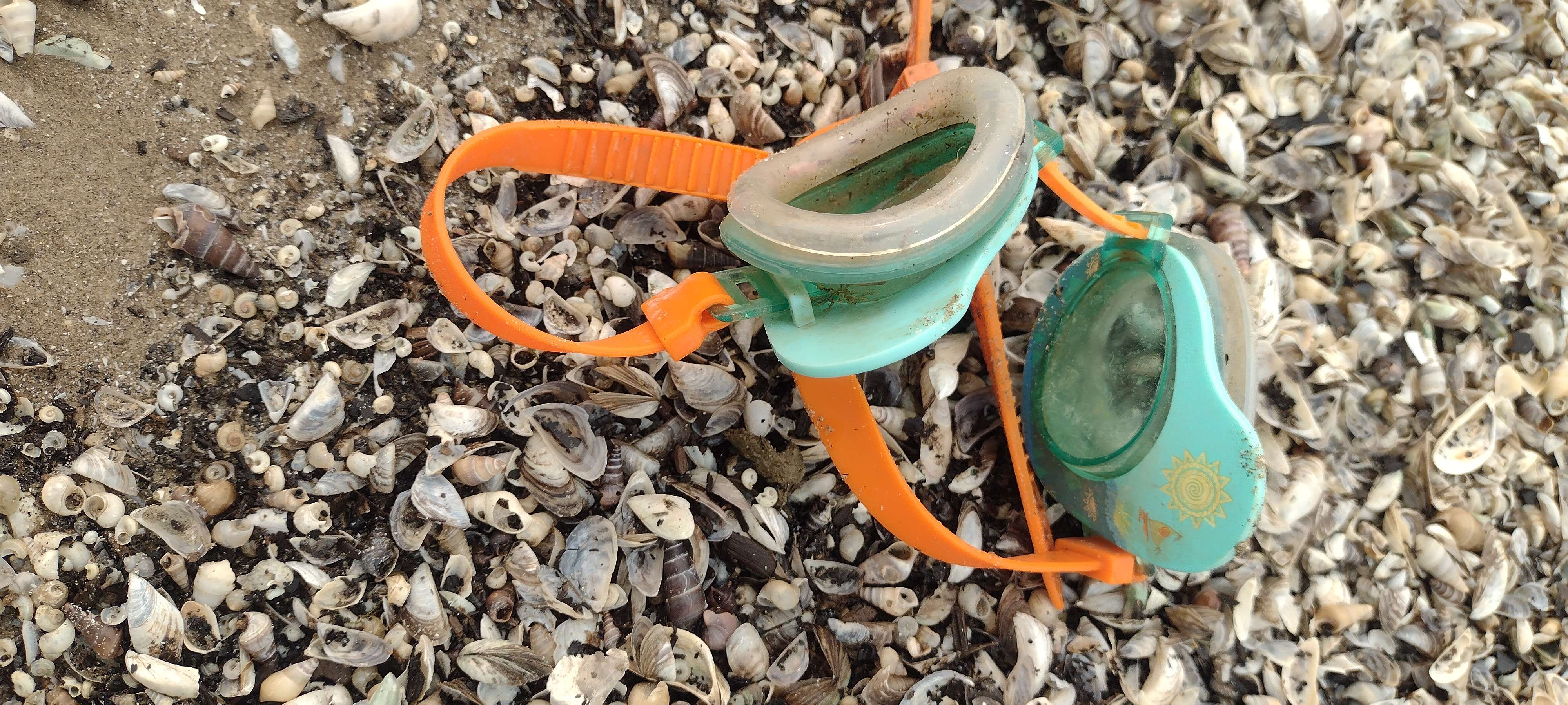 Swim goggles were among several examples of litter found on the shore of Lake Eerie at Maumee Bay, Ohio.