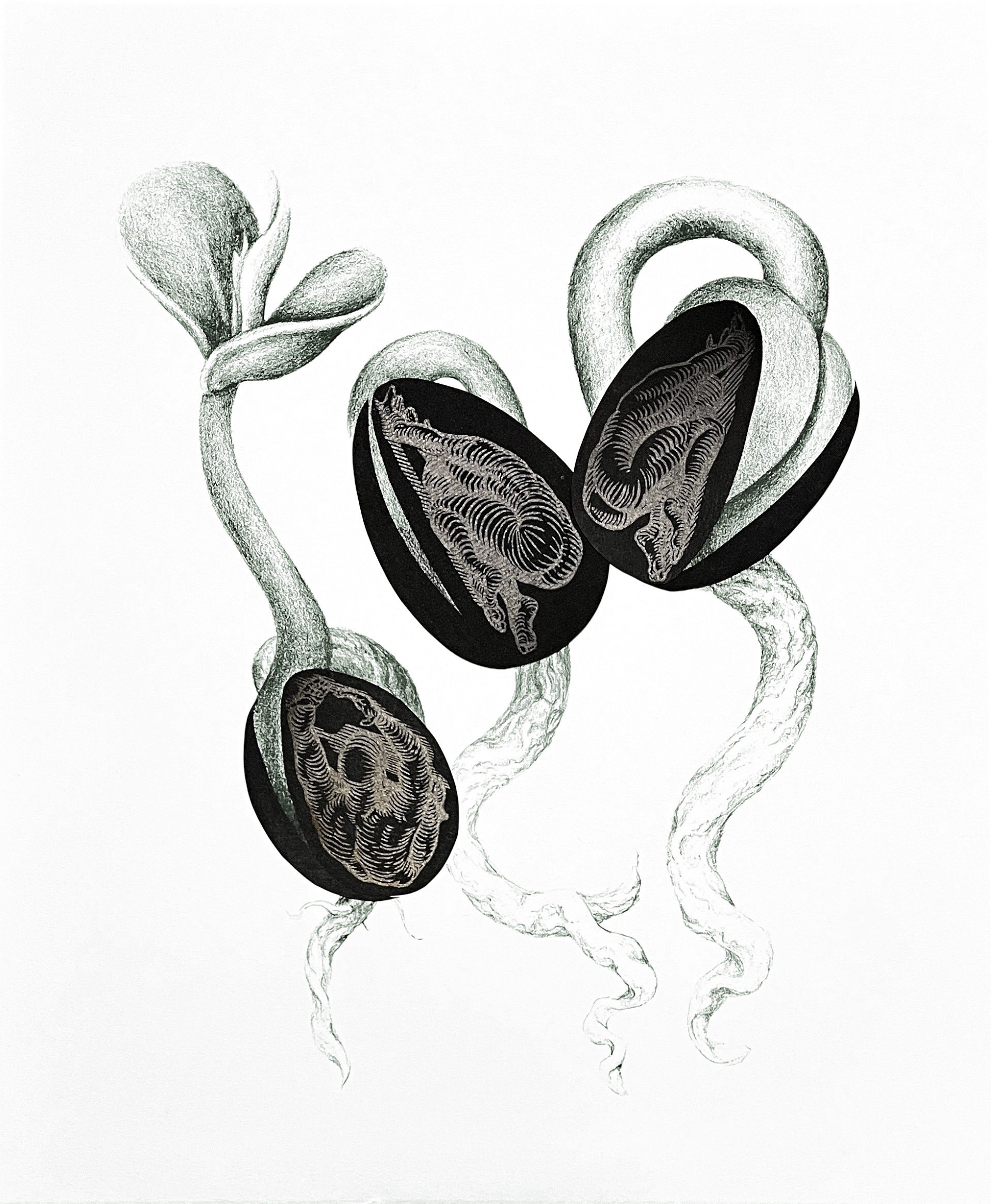 Seeds by Justin Miller, Courtesy photo,