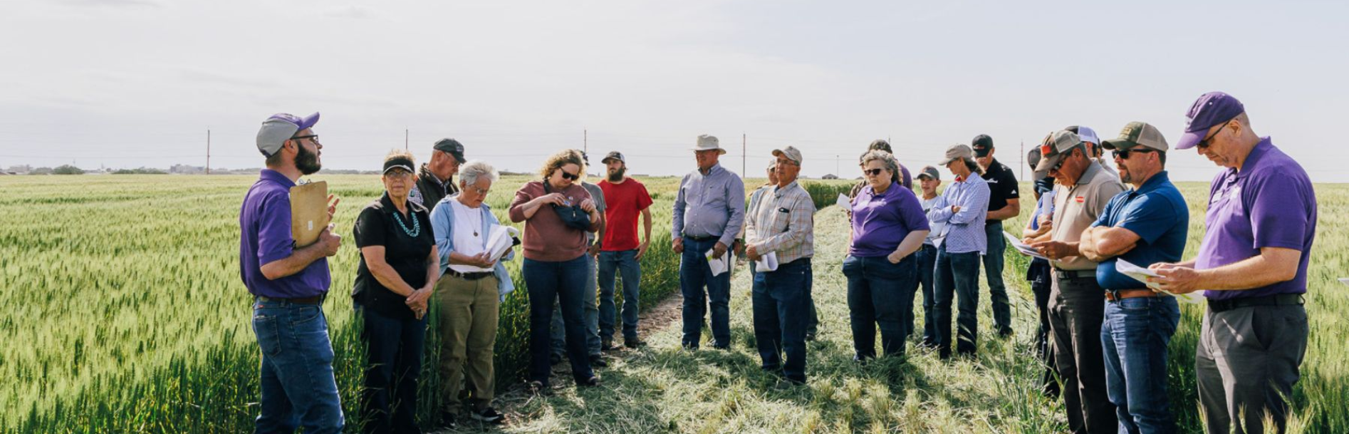 Photo courtesy K-State Research and Extension