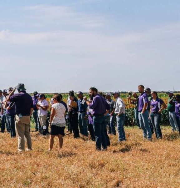 Image by&nbsp;<i>K-State Agricultural Research Center</i>