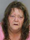 <b>Cathy Denise Schmidt - Attempted Fraudulent Insurance Act$5,000 or More, Theft-Shoplifting $0-$500, Burning to Defraud Insurer, False Reporting, Arson-1st Degree, Criminal Mischief $5,000</b>