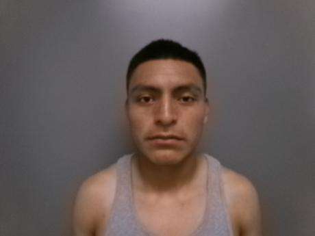 <b>Seberiano Adelfo Garcia-Temaj - No Operators License</b>
