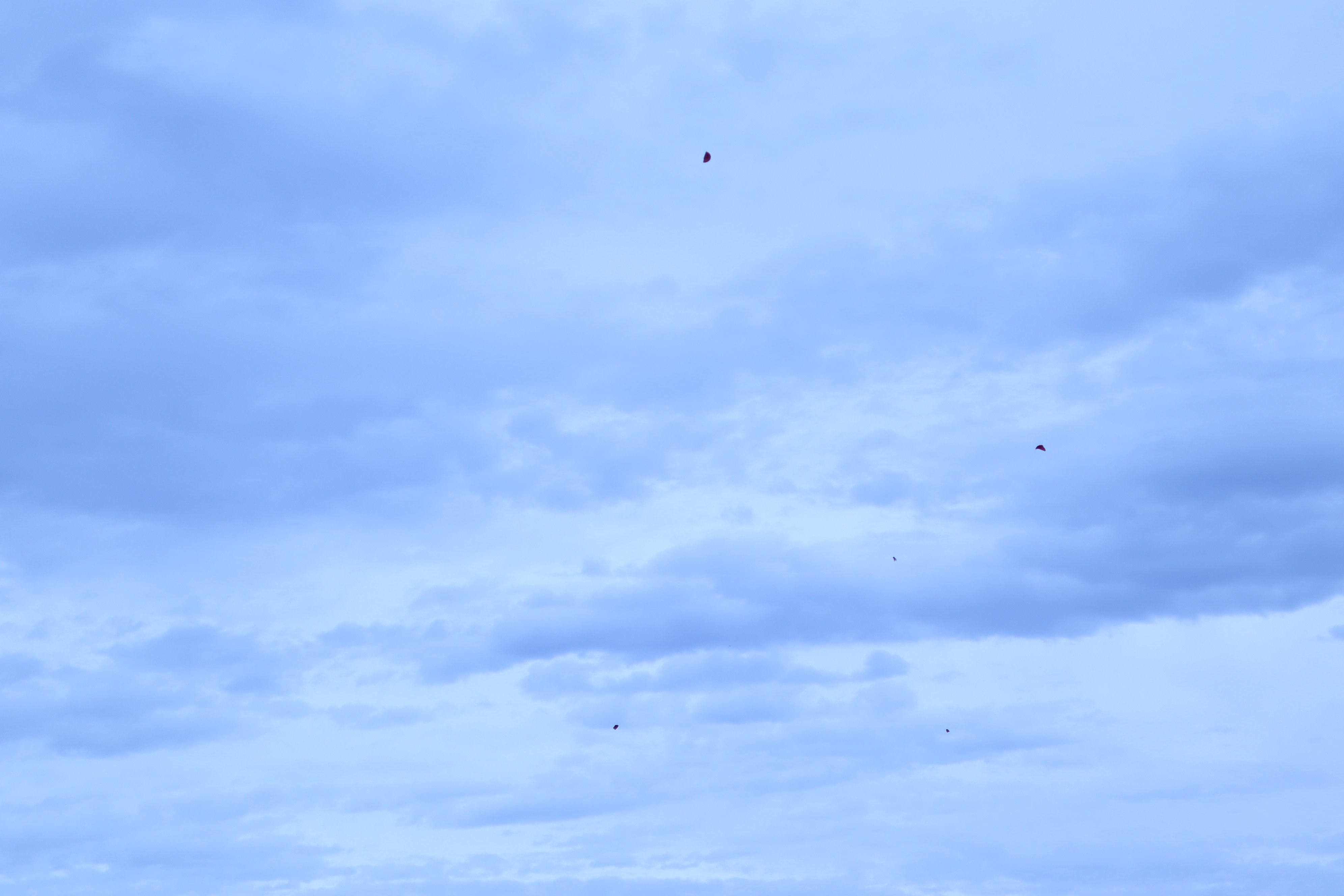 A clay target shatters in midair after being struck during a shooting activity at the 29th annual Youth Outdoor Festival.<br>