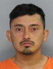 <b>Lester A Pivaral Gonzalez - Domestic Violence Assault-3rd/Cause Bodily Injury/Pregnant, Assault by Strangulation/Suffocation-Pregnant Woman</b>