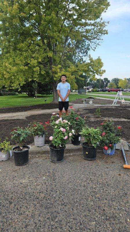DeAngelo Mata: North Platte High School senior DeAngelo Mata stands among the new rose bushes he planted as part of his effort to restore the Rose Klemm Memorial Rose Garden at Centennial Park. (Courtesy Photo)