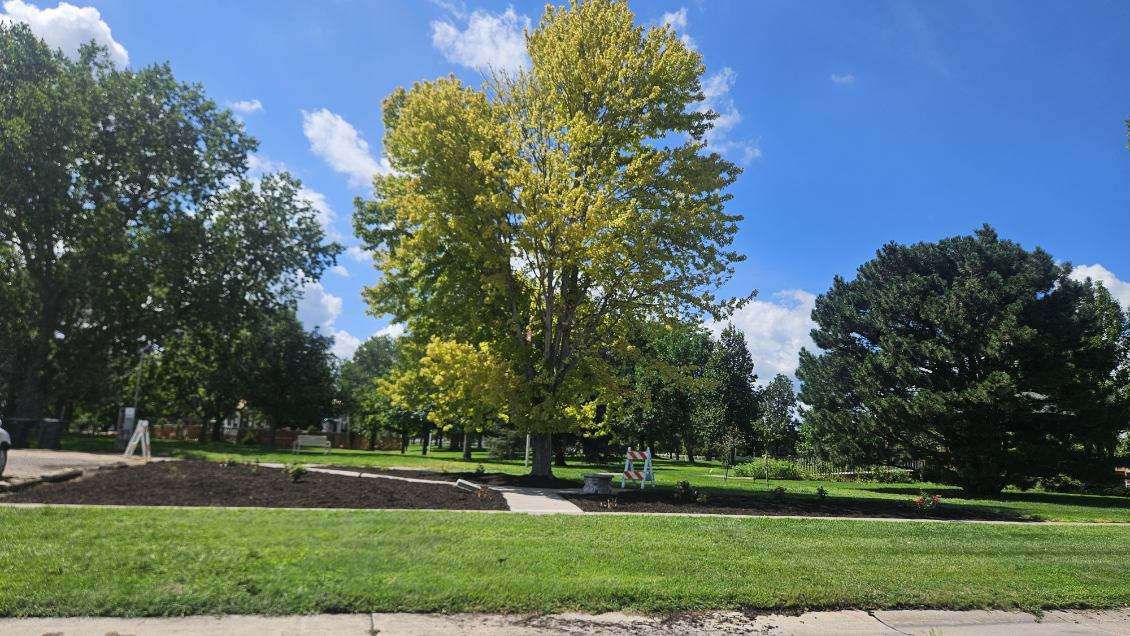 After: Fresh mulch and newly planted rose bushes give the Rose Klemm Memorial Rose Garden at Centennial Park a renewed appearance following the restoration project. (Courtesy Photo)