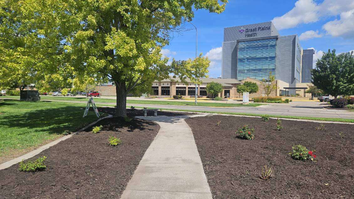 After: Fourteen new rose bushes were planted as part of the restoration of the Rose Klemm Memorial Rose Garden. (Courtesy Photo)