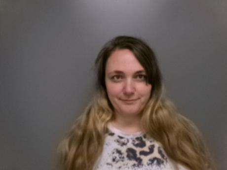 <b>Gwenn Corann Randolph - Driving Under Suspension, Dawson County Time Pay Warrant/Violate Stop or Yield Sign</b>