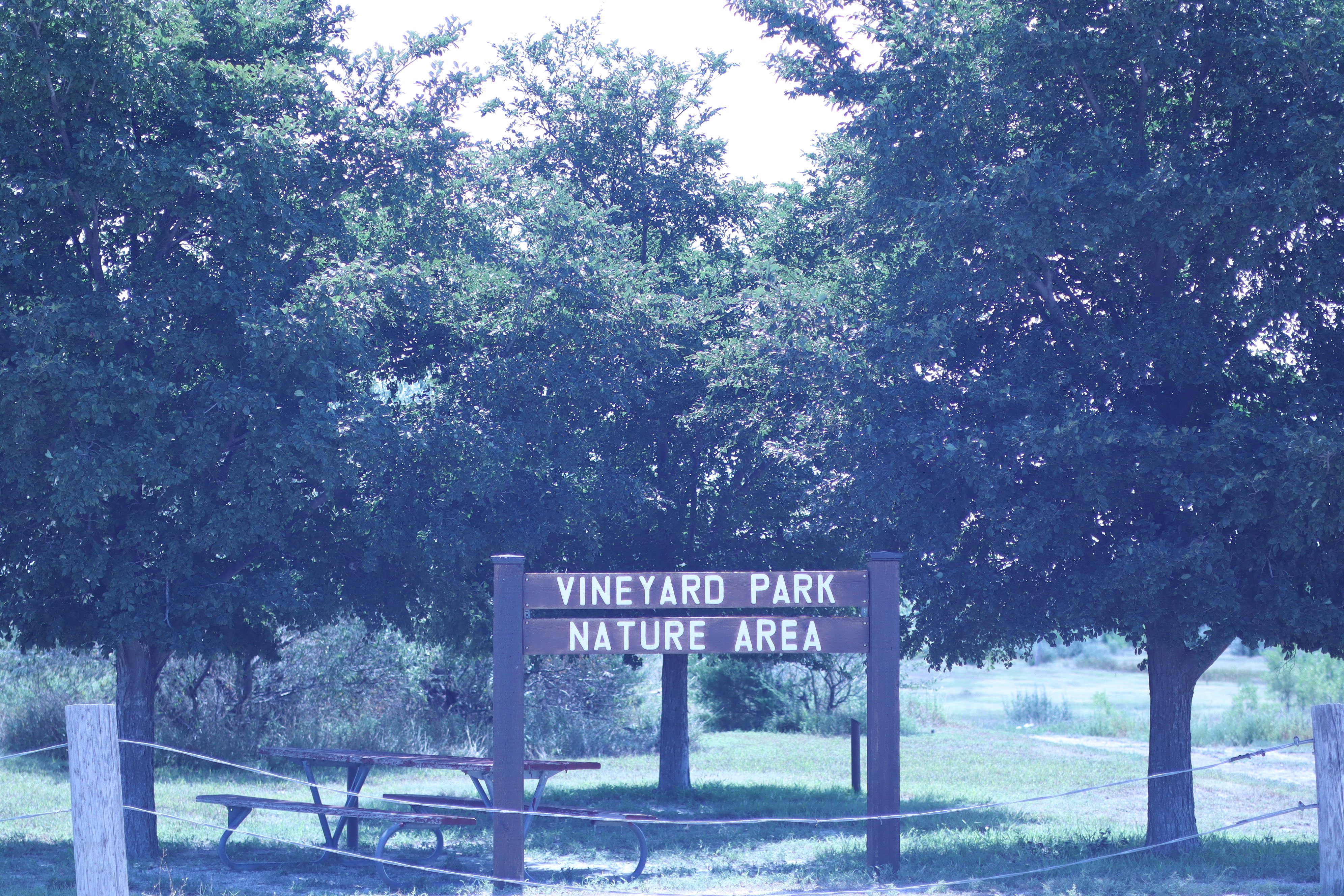 The entrance to the Vineyard Park Nature Trail in Hays. Photo by Alin Hett/Hays Post.&nbsp;<br>