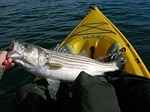 Commissioners approve increase to hunt, fish permit fees