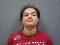 <b>Shyesha Lashay Bergen - Failure to Appear, No Valid Registration, No Proof of Insurance</b>