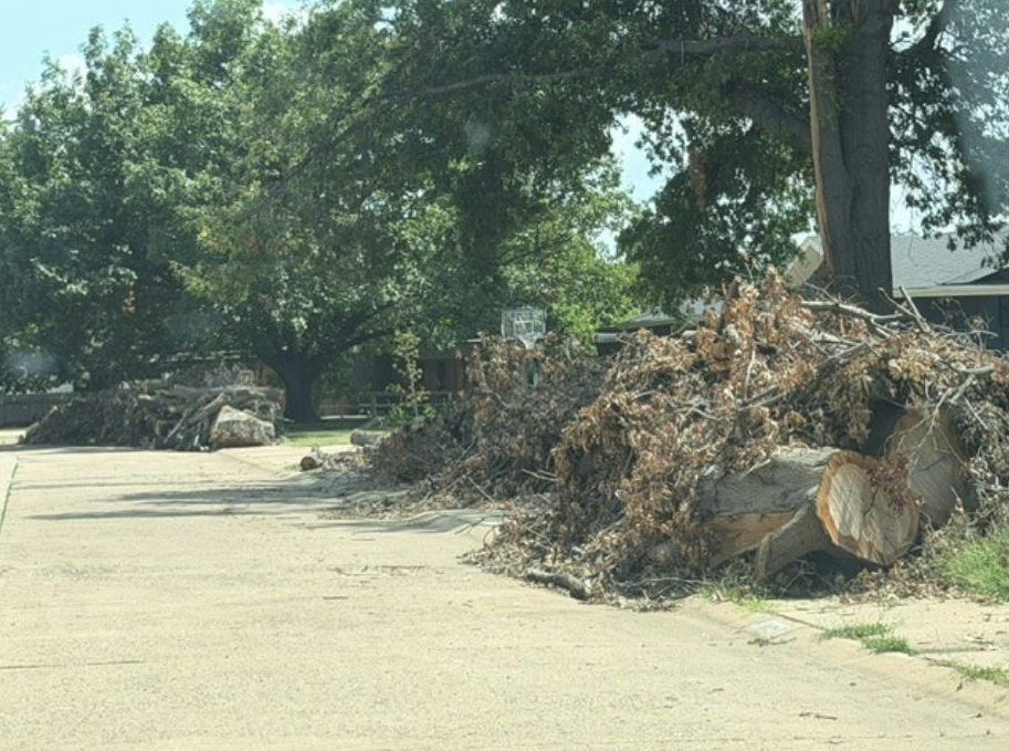 Tree limbs along a public road in Salina - City of Salina photo