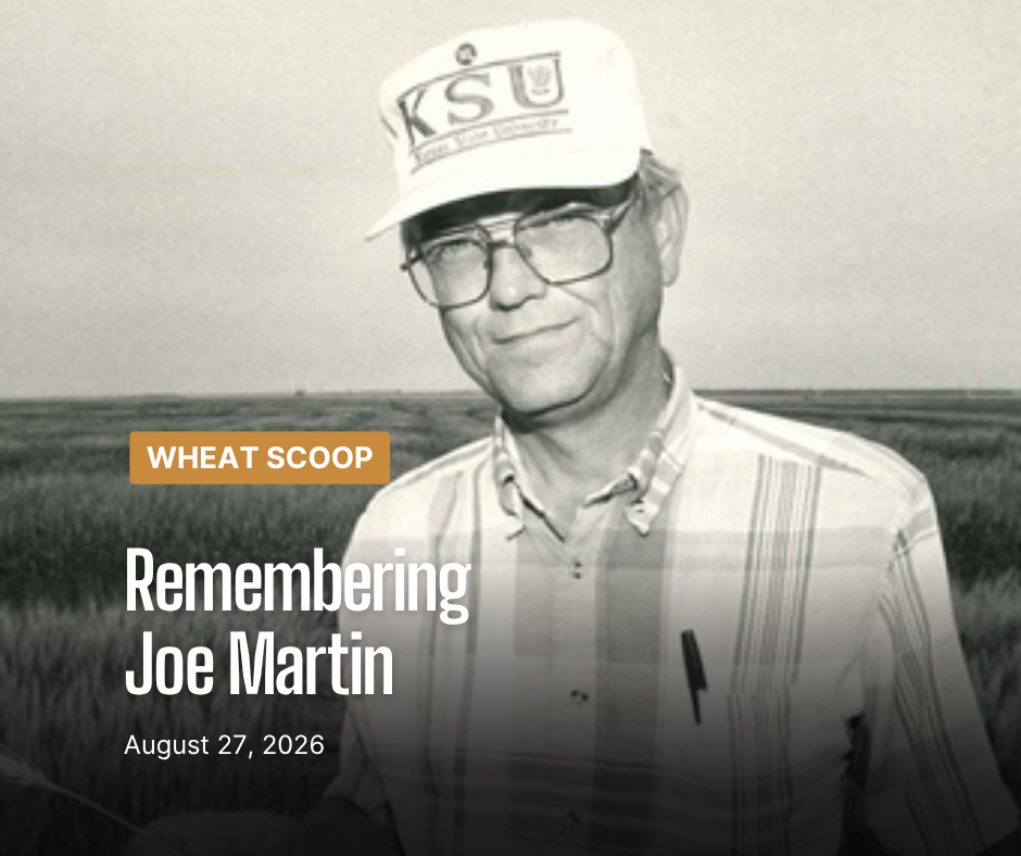 Wheat Scoop. Courtesy image