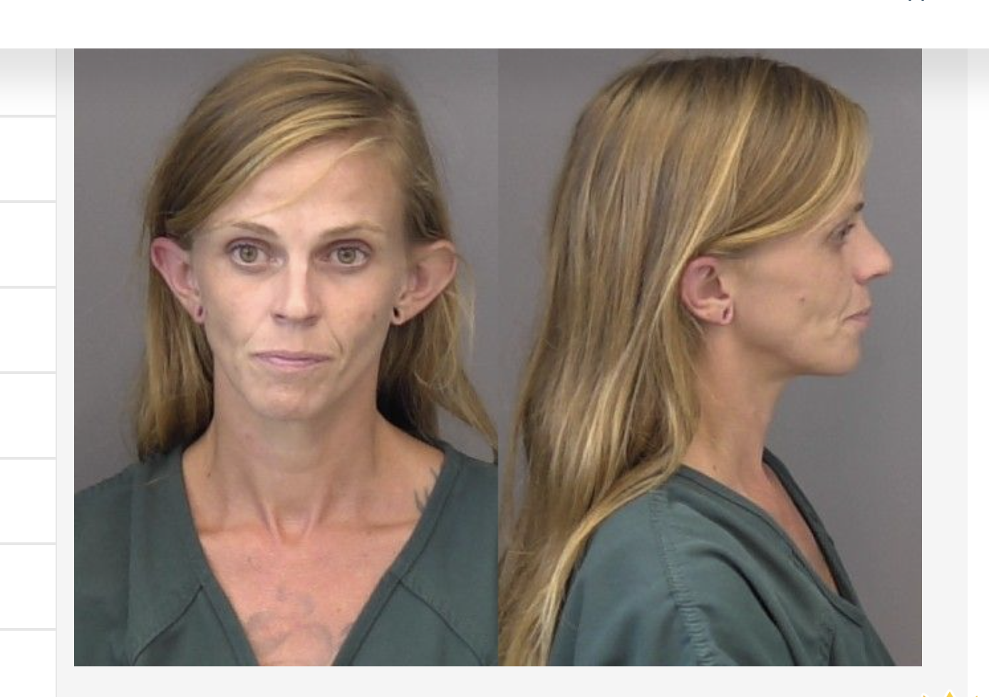 Ellison, Megan Lynn