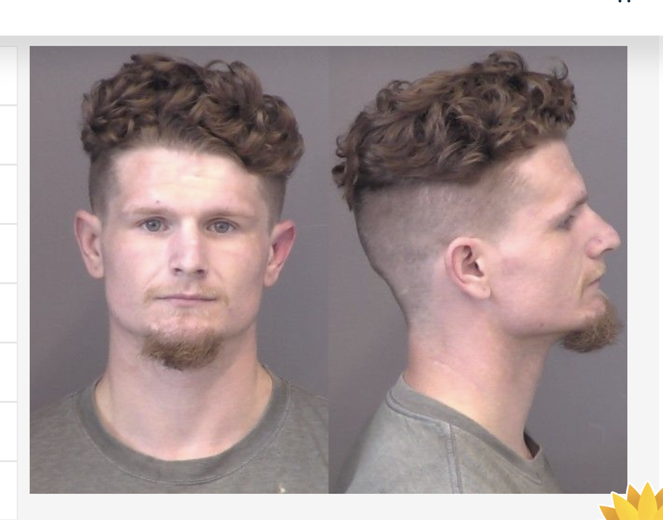 Peterson, Guage Michaels