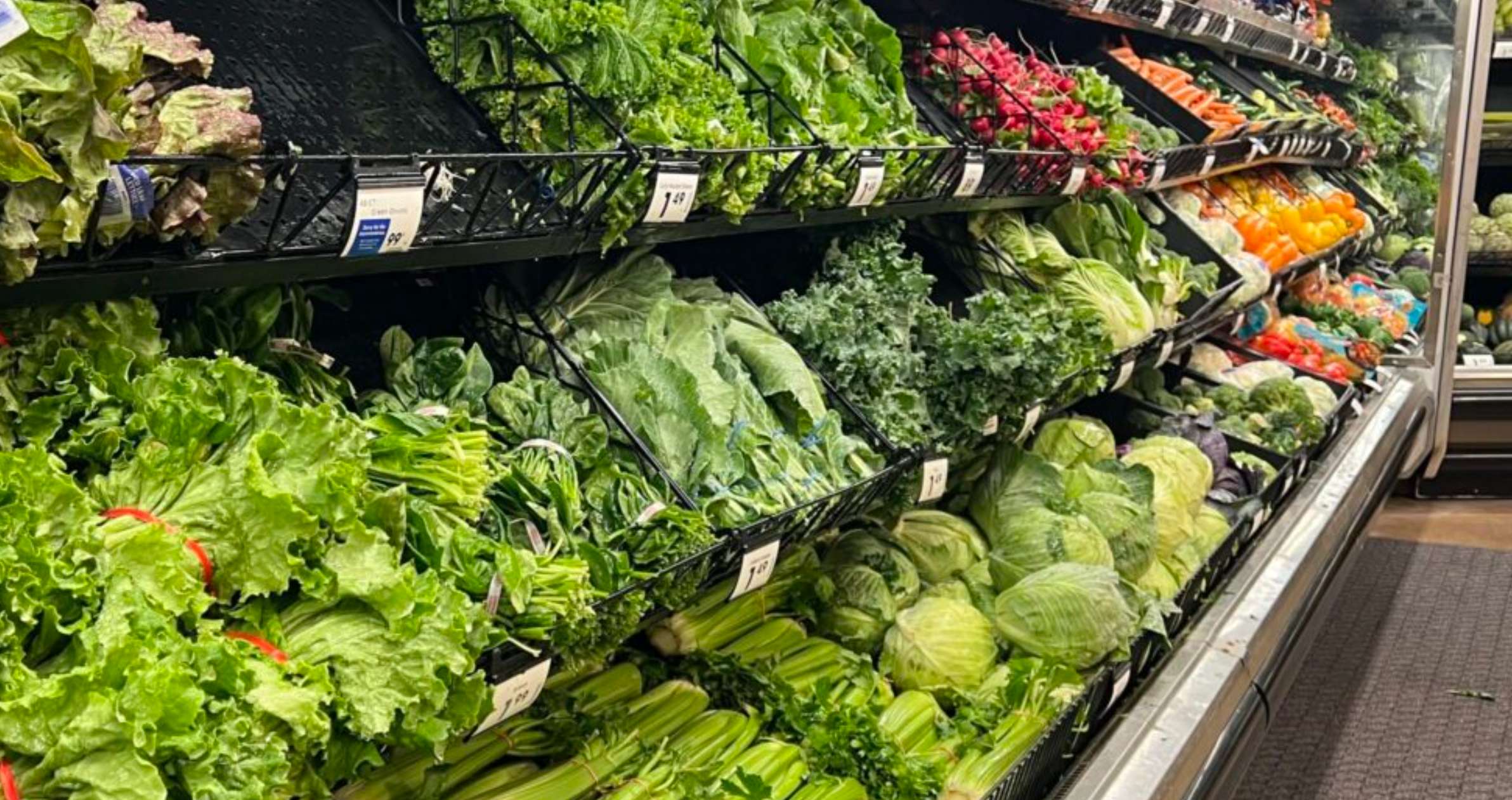 Vegetables and lettuces at a grocery store in Michigan. A summer of food recalls, including the record-shattering cyclosporiasis outbreak tied to iceberg lettuce that has sickened thousands, has raised many Americans’ fears of contracting a foodborne illness. (Photo by Jon King/Michigan Advance)