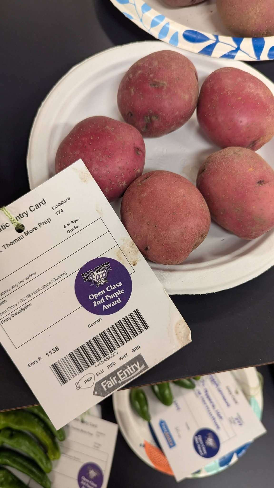 The students’ entry of potatoes in this year’s Ellis County Fair won an Open Class 2nd Purple Award. Courtesy photo Melissa Pinkney