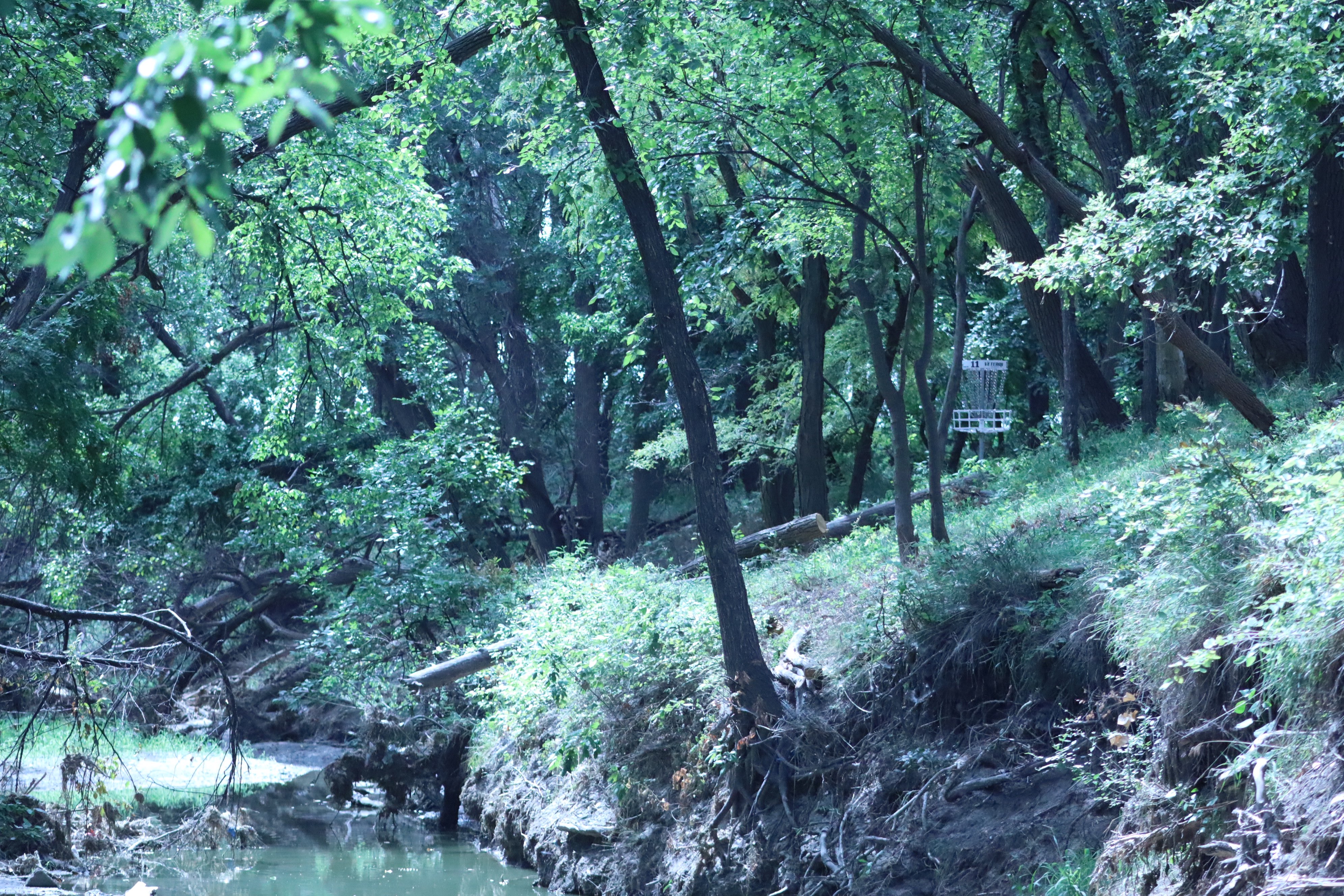 Hole 11, Perhaps the most photogenic Hole at the new nature-based Bison Trail Disc Golf course in Hays. Photo by Alin Hett/Hays Post