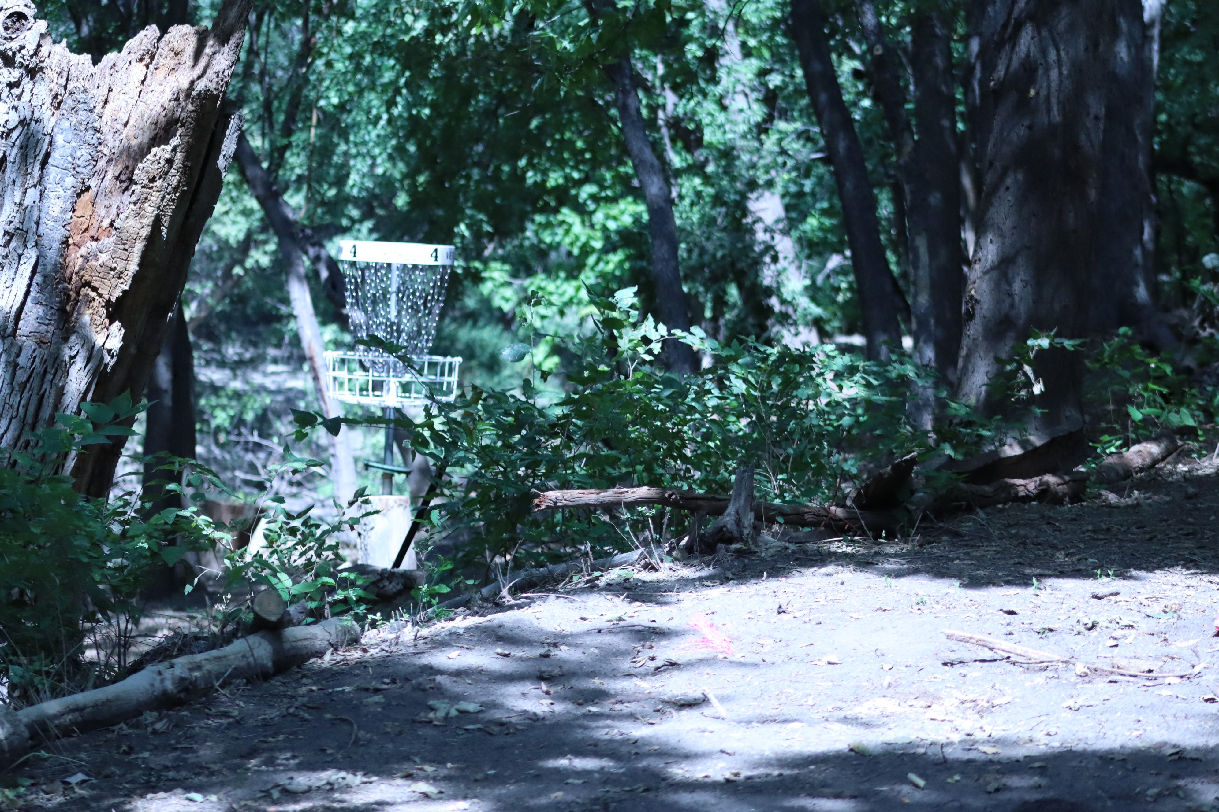 Hole 4, a basket located in between the trees for disc golfers at the Bison Disc Golf course in Hays. 