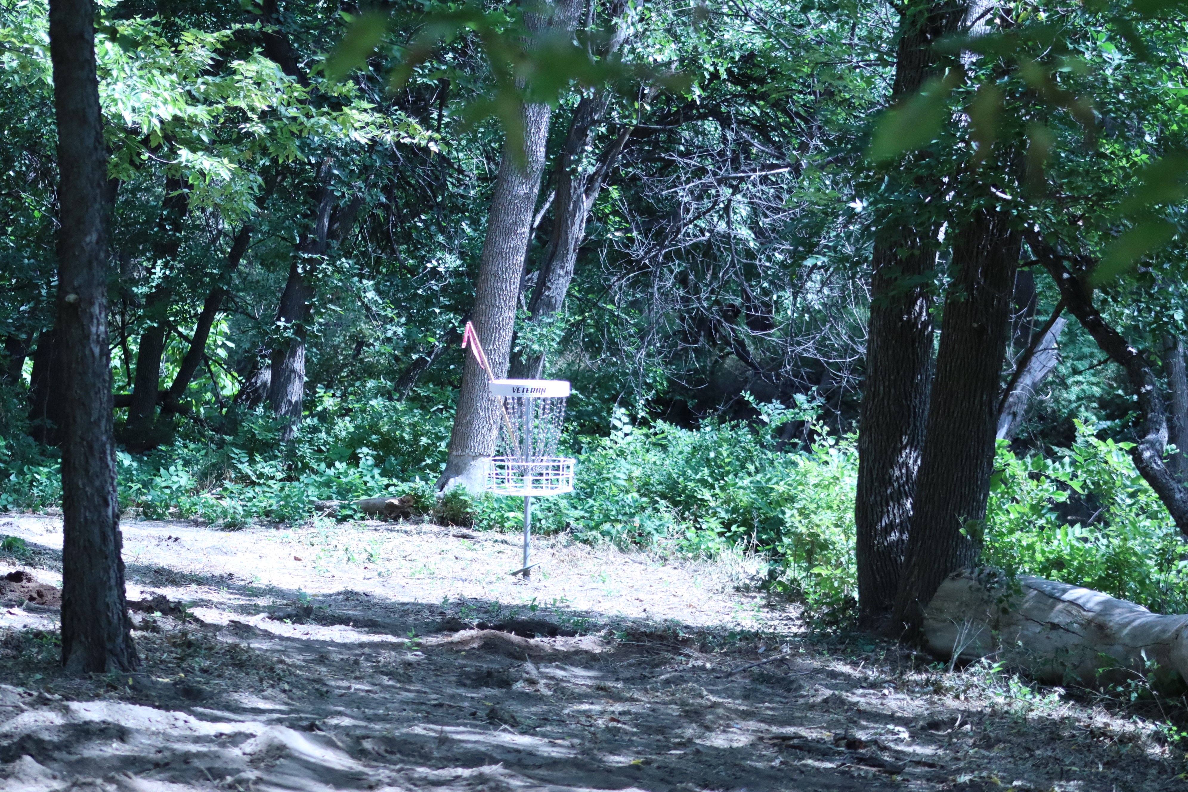 A disc golf basket sits tucked among the trees on the new nature-style course near the Glassman Ball Fields in Hays. <br>